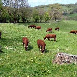 Photo de portrait de Georges et Marie-Claude