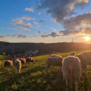 Portrait photo of Adélaïde and Quentin