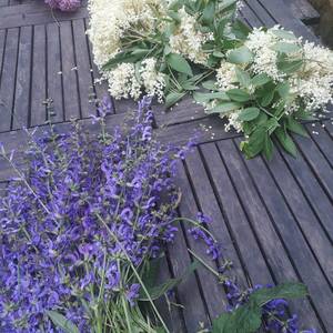 Portrait photo of BALLION ELODIE