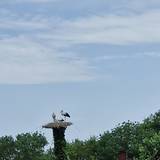 Photo de portrait de Jocelyne et Jacques