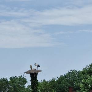 Photo de portrait de Jocelyne et Jacques