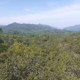 Photo de portrait de Maryse et André SEZNEC