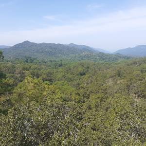 Photo de portrait de Maryse et André SEZNEC