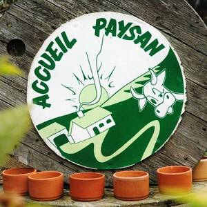 Portrait photo of Cécile et Olivier