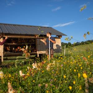 Photo de portrait de Celine et Maxime