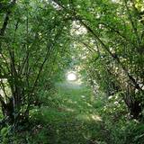 Photo de portrait de Clément et Françoise