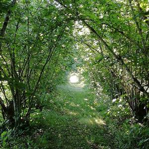 Photo de portrait de Clément et Françoise