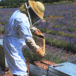 Photo de portrait de Elisabeth et Philippe PERONI