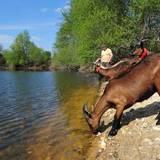 Photo de portrait de Béatrice et Michel