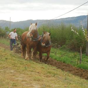 Photo de portrait de Magdalina et Thierry