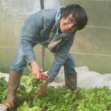 Photo de portrait de Traits Paysans