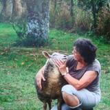 Portrait photo of Claudine AUDINEAU