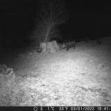 Photo de portrait de pascale