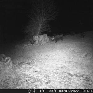 Photo de portrait de pascale