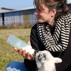 Photo de portrait de Orain Lucie