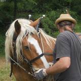 Photo de portrait de Caroline et Philippe