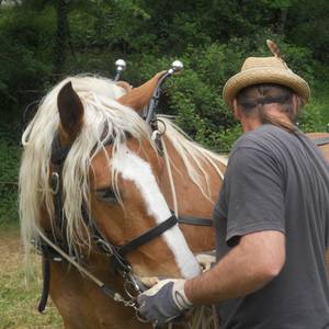Photo de portrait de Caroline et Philippe