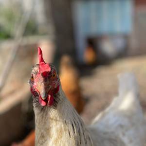 Photo de portrait de Frédéric