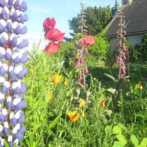 Photo de portrait de Isabelle LAMOUR-COUËDEL