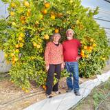 Photo de portrait de Claude et Monique CHANTRE