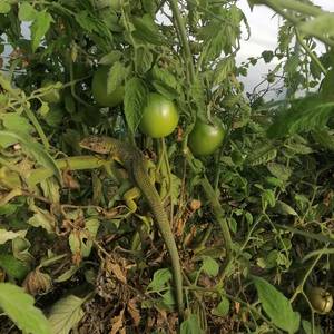 Photo de portrait de FRED et Marie