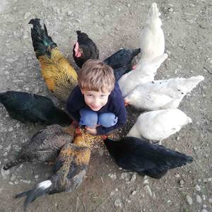 Photo de portrait de Principalement et par ordre de disponibilité pour l'accueil à la ferme, Laurent, Mylène et Sylvain.