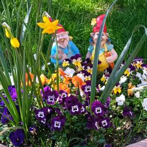 Photo de portrait de Chloé et Bernard Fayn
