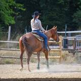 Portrait photo of Tiphaine et Benoit