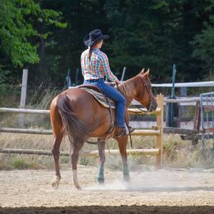 Portrait photo of Tiphaine et Benoit