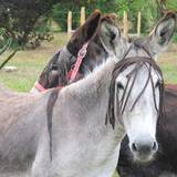 Photo de portrait de Ladina BEGNI et Rémi de TAILLANDIER