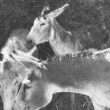 Photo de portrait de Rachel Fontany