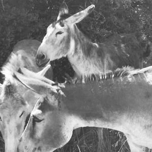 Photo de portrait de Rachel Fontany