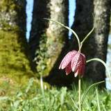 Portrait photo of Brigitte,  Jacques
