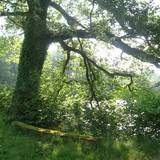 Photo de portrait de Véronique et Guy