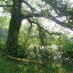 Photo de portrait de Véronique et Guy