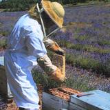 Photo de portrait de Elisabeth et Philippe PERONI