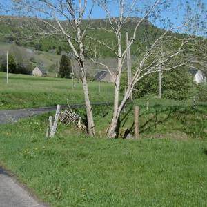 Photo de portrait de Aline et Bruno Brugiere