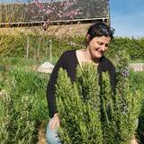 Photo de portrait de Hélène. parfois Sara ou parfois un.e ami.e qui passe par là !