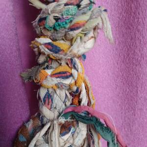 Photo de portrait de sophie Coutou-Earle