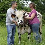 Portrait photo of Gwenaelle Falchi