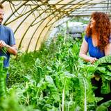 Photo de portrait de Louise Mathé et Yannick Halloin