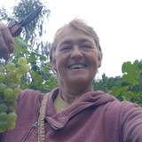 Portrait photo of Anne Wanner