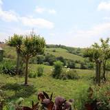 Portrait photo of SABAROTS Dominique