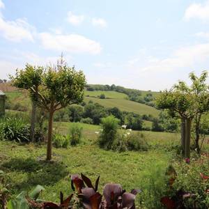 Portrait photo of SABAROTS Dominique