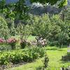 le jardin -  Chambre d’hôte Ma cabane (Provence-Alpes-Côte d’Azur, Hautes-Alpes)