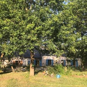 Photo de Le Cabaret des oiseaux