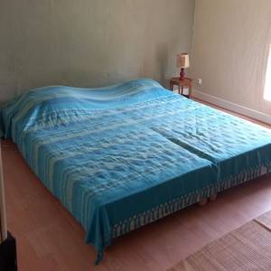 Photo de chambre "jardin"