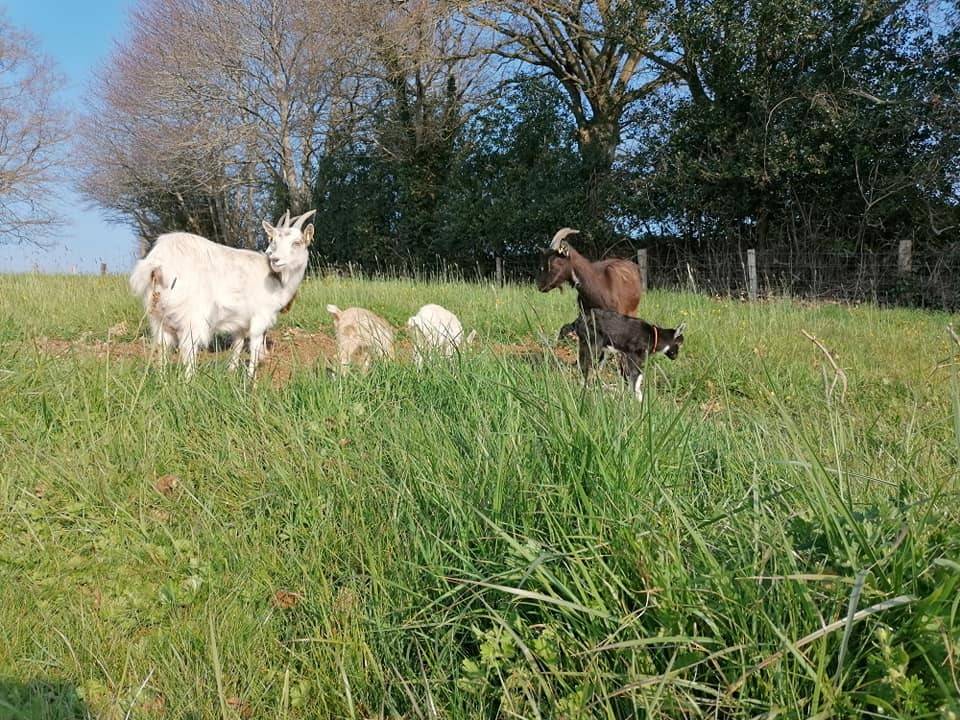  Hébergement touristique Normandie Orne Fossé