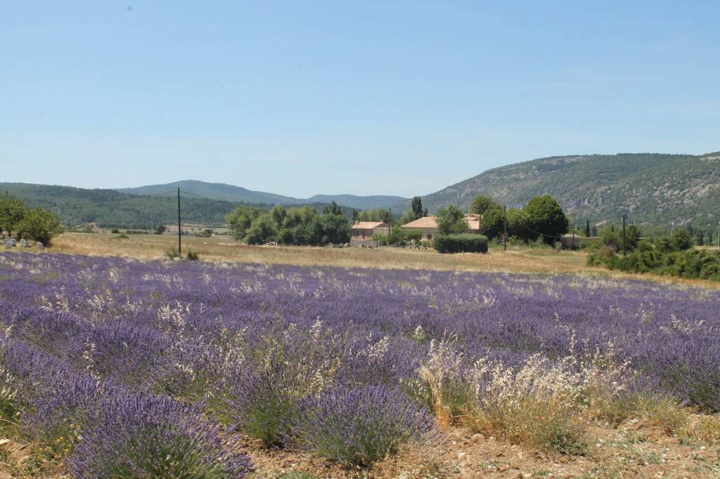 la ferme vue de la route d'accès - Tourist accommodation Provence-Alpes-Côte d’Azur Vaucluse At the Saulce plant