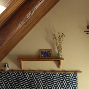 Photo de La Gentiane